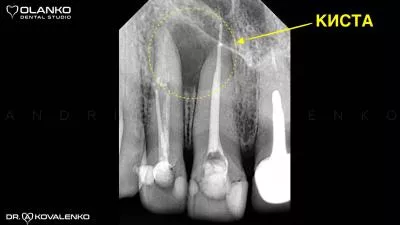 Наші роботи