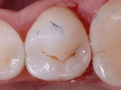 Наші роботи