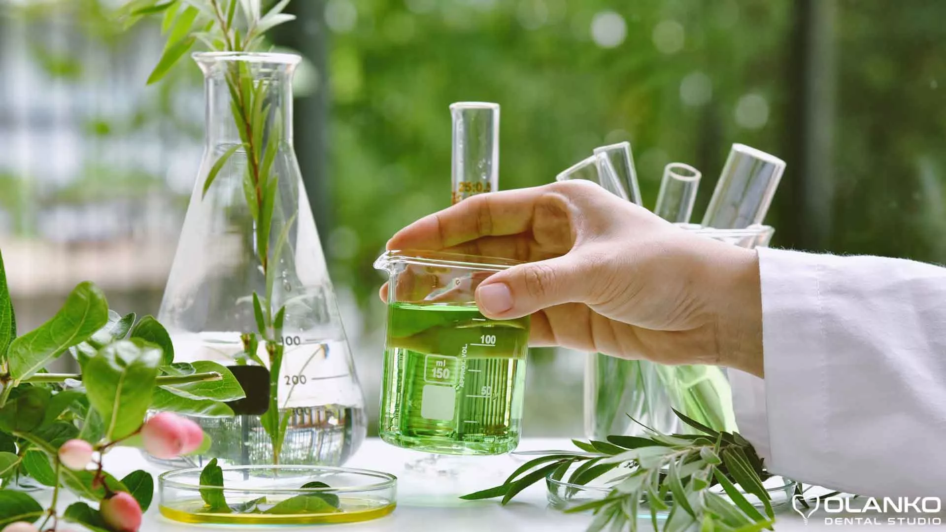 Лікування запалення ясен народними засобами